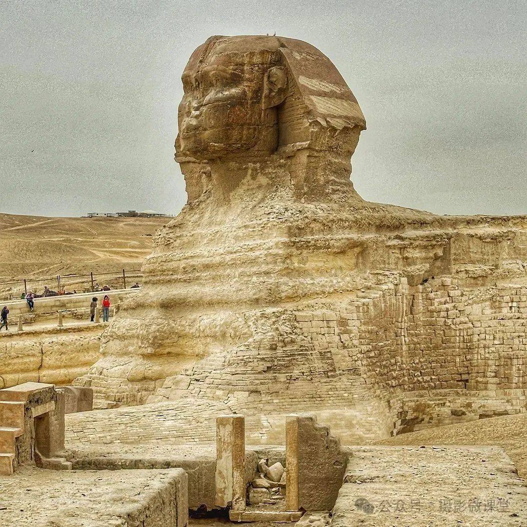 九游体育直播-关于诺维奇不敌斯旺西，升入金字塔的距离越来越遥远的信息