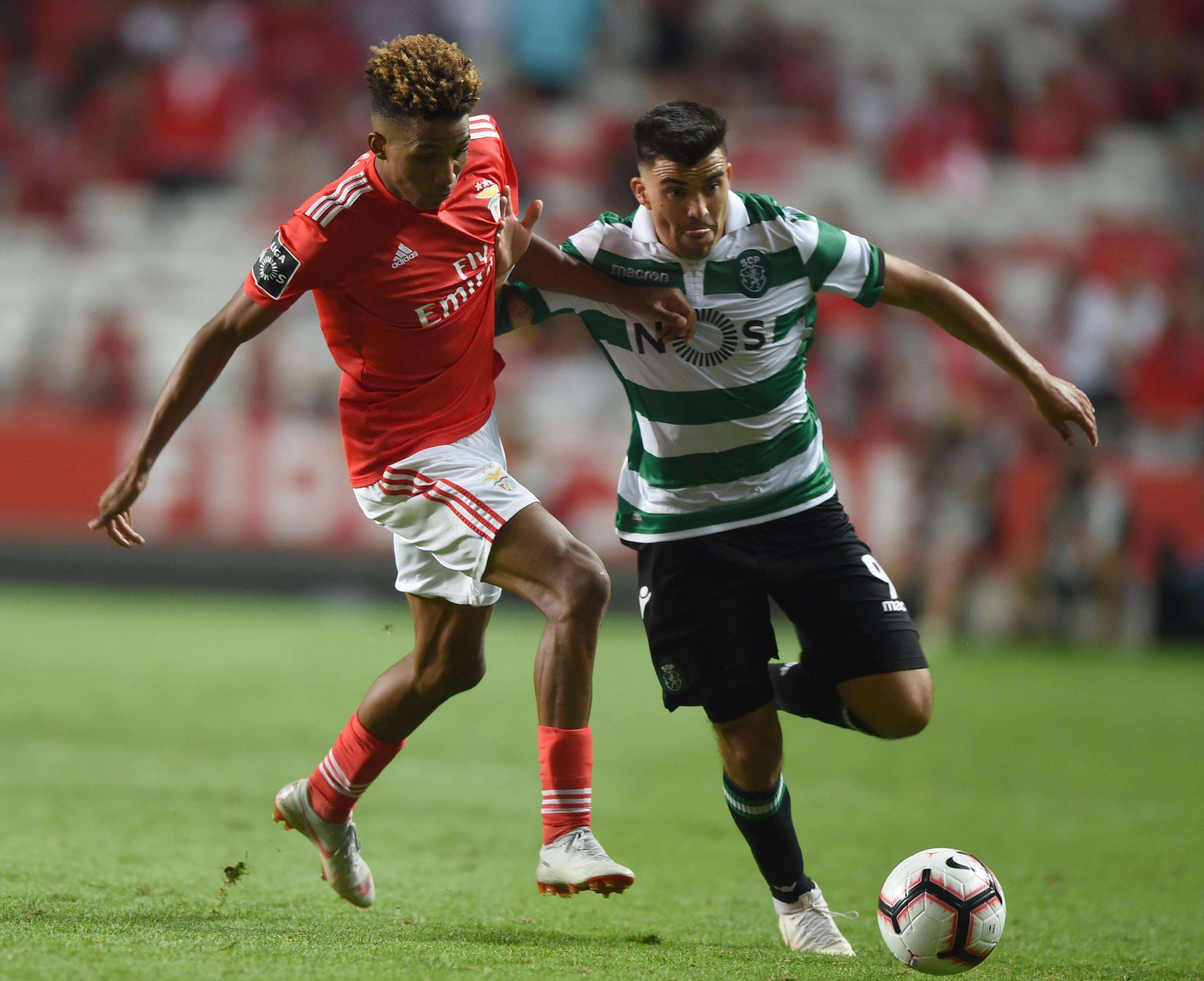 西班牙主教练战术高明，立陶宛队绝杀无望,比赛实力悬殊引人深思的简单介绍