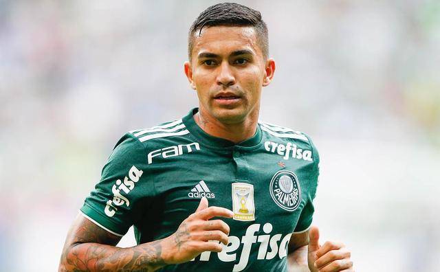 九游体育平台-数据分析：帕尔梅拉斯历史战绩与本届展望的简单介绍