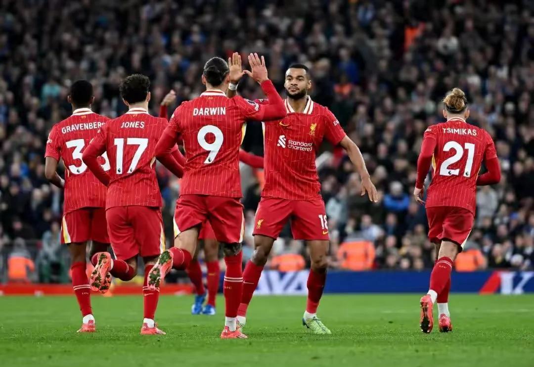 九游中国-关于利物浦士气高涨，布莱顿视得重要性的信息