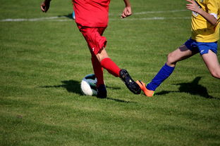 九游app下载-西雅图海湾者球员团队氛围良好，备战世俱杯信心满满