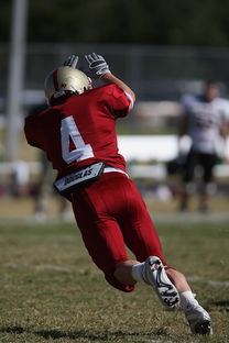 九游体育直播-河床防线稳固，力拼西悉尼流浪者全力拿分