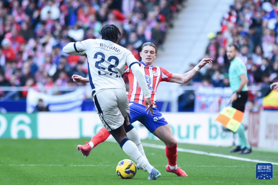 奥萨苏纳展现强大实力，轻松获胜