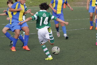 九游app下载-河床主场优势明显，球迷期待逆转奇迹