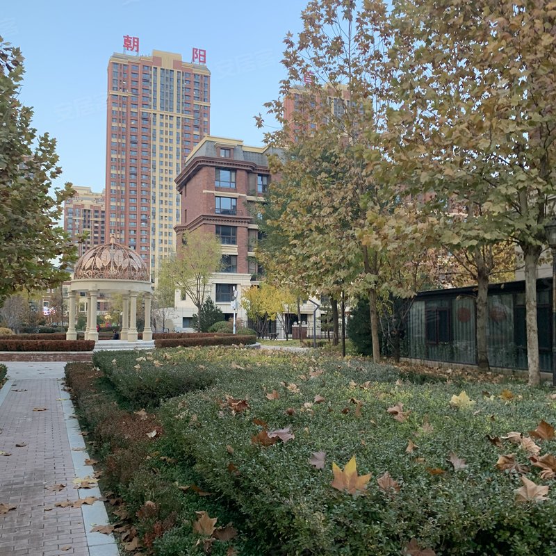 九游APP-上海绿地欲取胜在即，对阵河北保定