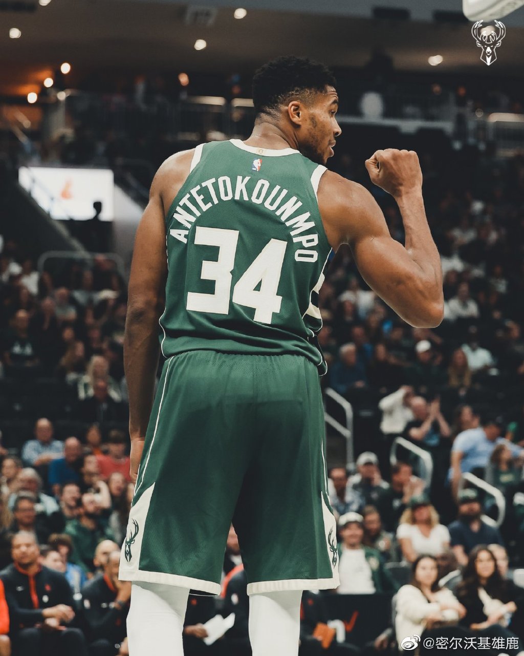 开拓者轻取黄蜂，主场保持不败势头