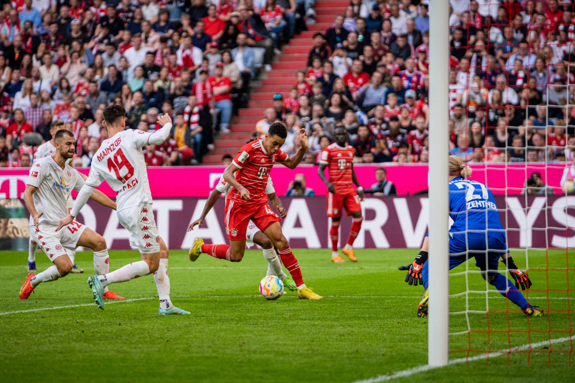 关于欧预赛实时战报，球队表现令人惊喜的信息