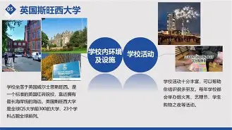 斯旺西遗憾失利，拉德格里克反思战术