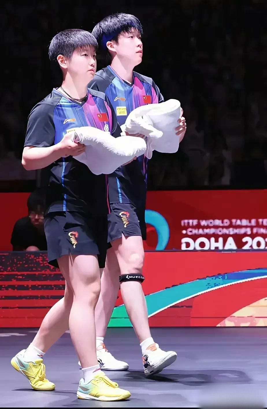 德国乒乓球队绝地反击波兰乒乓球队，马龙送出助攻的简单介绍